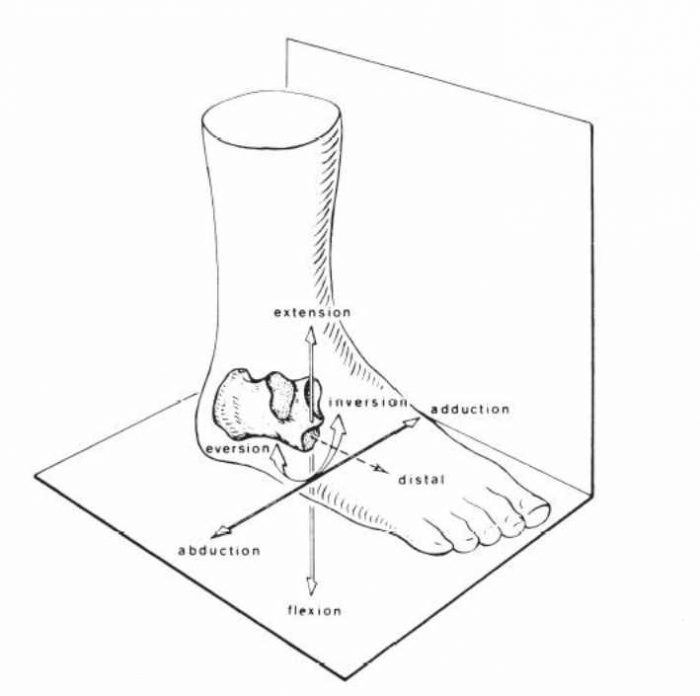 Pie equino varo o pie zambo Clínica María del Mar Ruiz